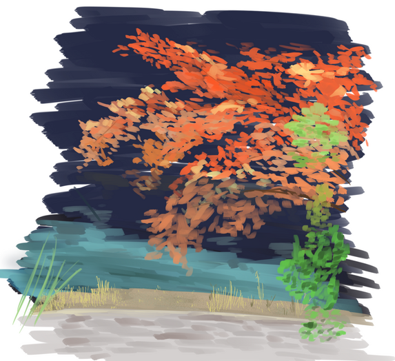 River bank